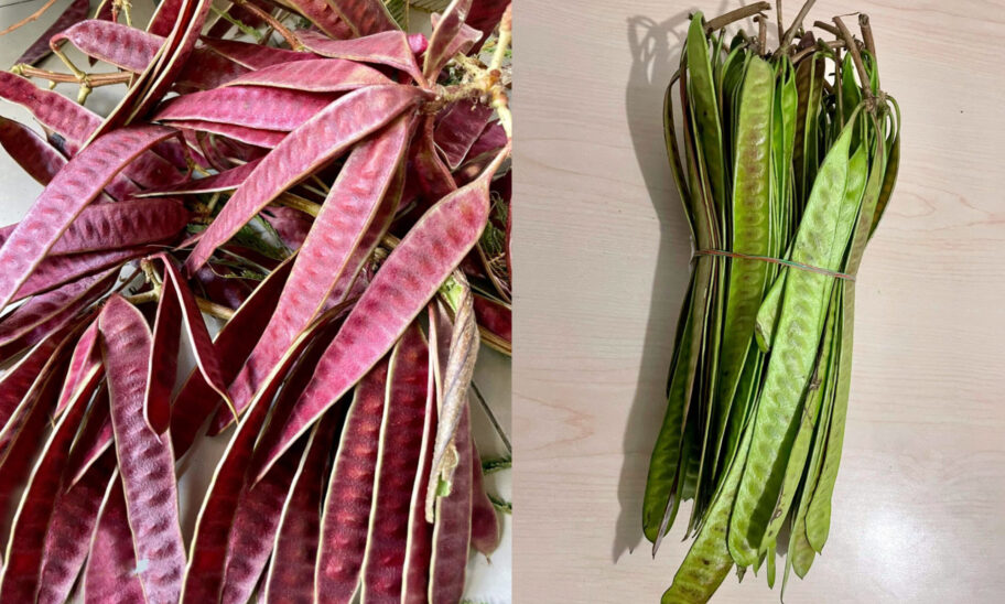 Guajes Rojos y Blancos Tradiciones y Comidas